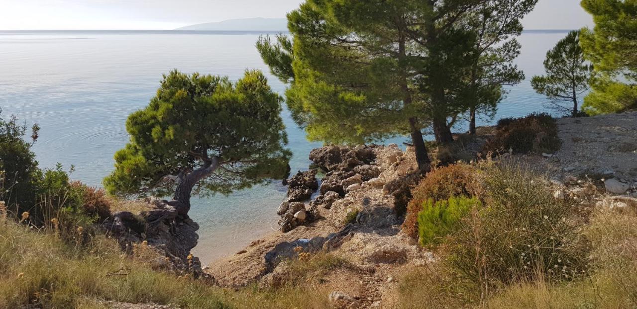 Old Town Studio Apartments Makarska Exterior foto